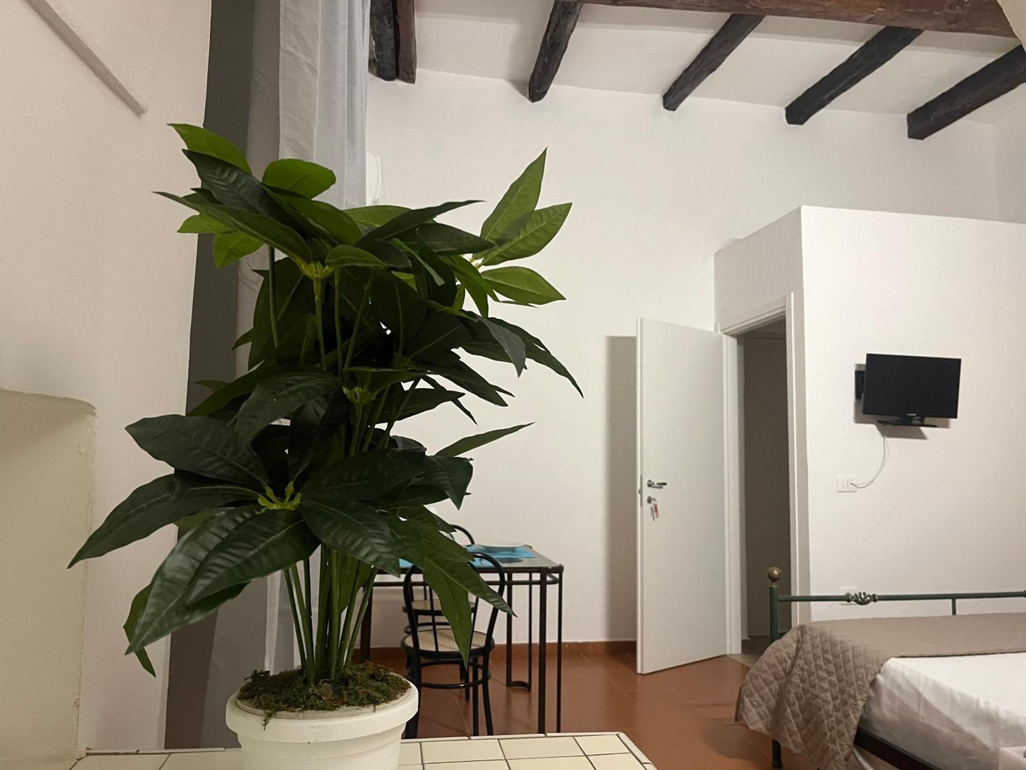 Appartamento Il portale Tropea Esterno foto